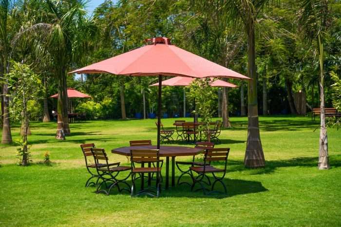 122335705 115978970282558 2858639099557592082 n